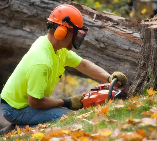 tree services Greenlawn